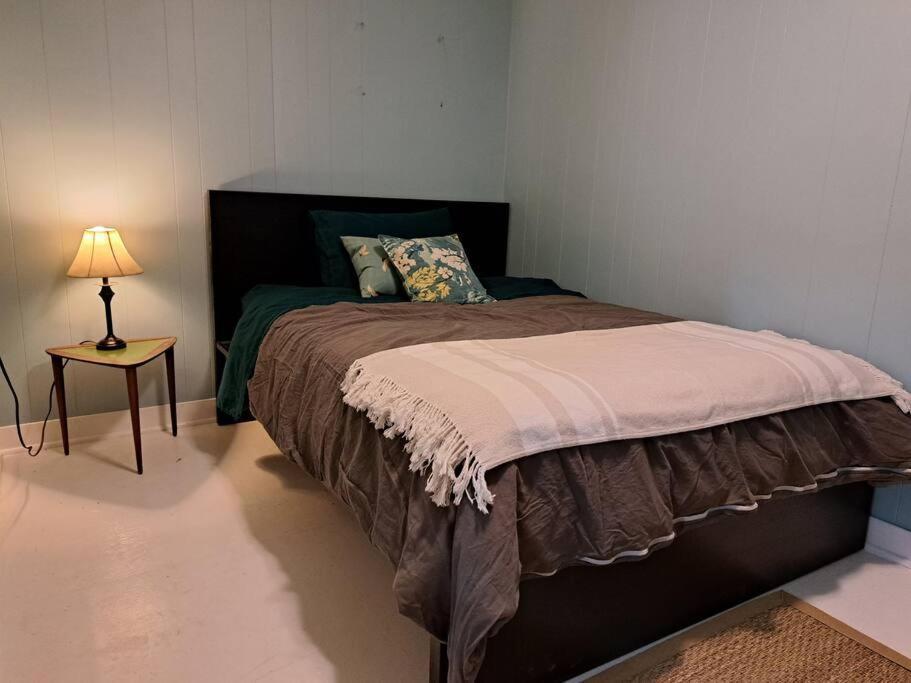 Blue Dog Accommodations Eastend Extérieur photo