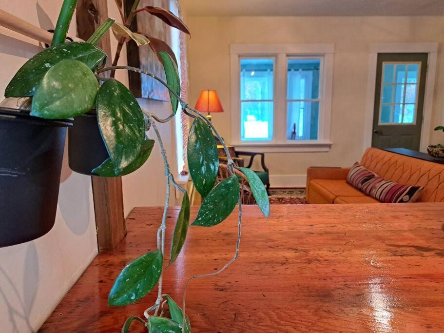 Blue Dog Accommodations Eastend Extérieur photo